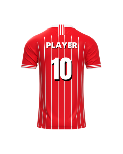 DNA ATHLETE Custom Team Jersey – Personalized Name & Number, Premium Sportswear-ASTJS71-24