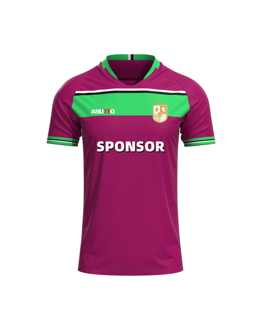 DNA ATHLETE Custom Team Jersey – Personalized Name & Number, Premium Sportswear-ASTJS71-09